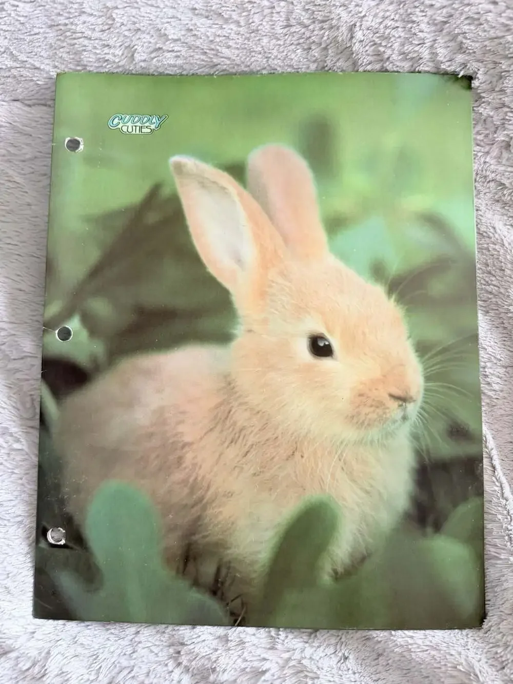 The Fantastic World of Lisa Frank Trapper Keeper & 6 folders